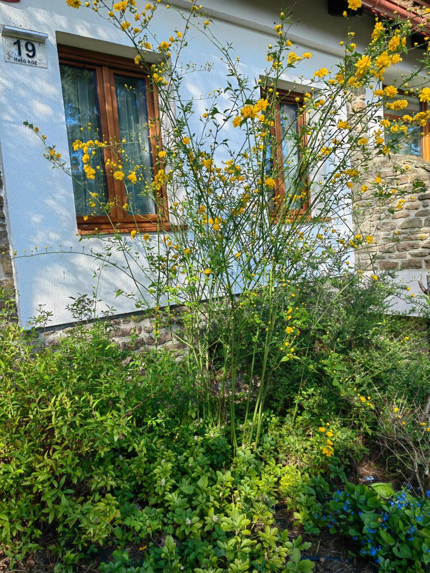 Hanga Vendégház Tihany Exterior foto